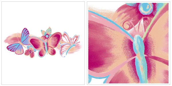 butterfly